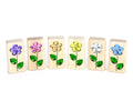 Pastel Summer Flowers Gem Blocks, 6 pc. – Everwood Friends