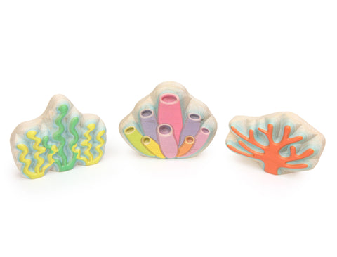 Under-the-Sea Carved Shape Set, 3 pc. – Everwood Friends